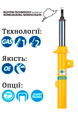Купити амортизатор більштайн B6