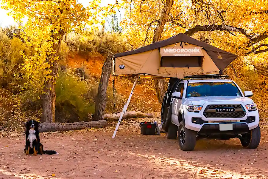 A dog enjoys nature next to an SUV with a truck cap. The atmosphere of camping, adventure, and freedom — the perfect photo for topics on traveling with pets and active recreation.