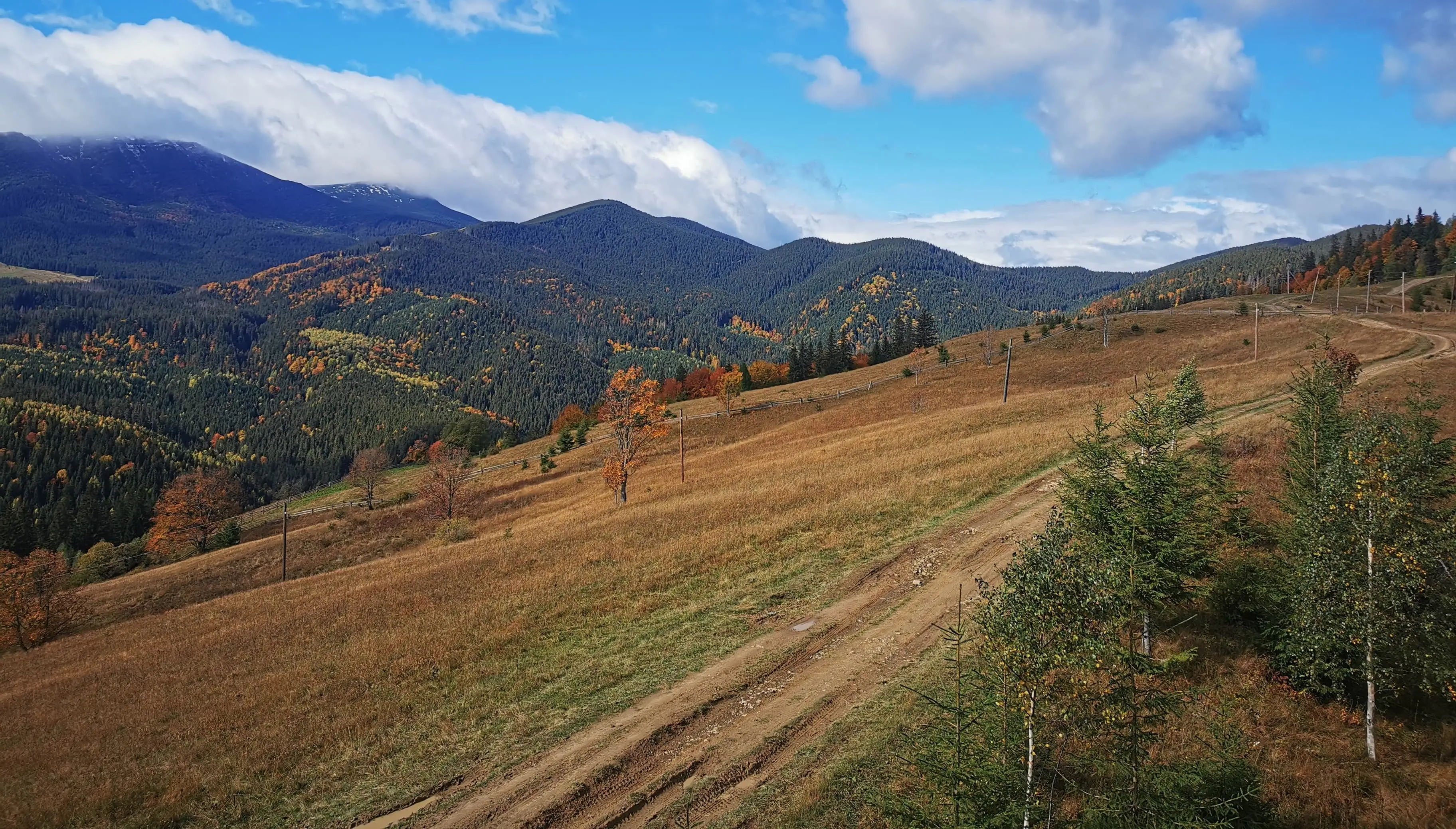 карпатська дорога